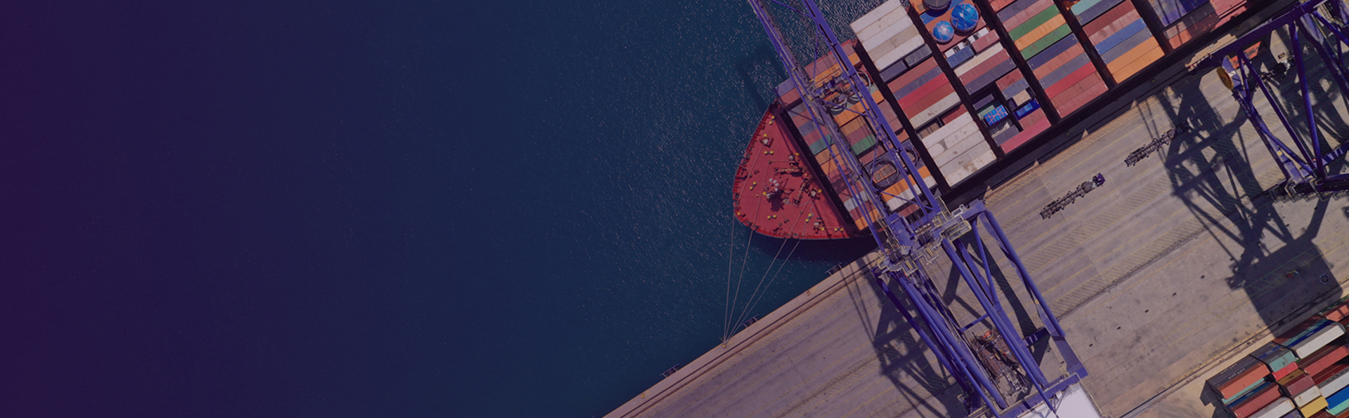 4Infra - Experiência em planejamento e gestão de ativos portuários